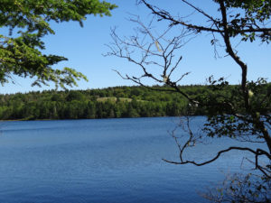 Nova Scotia Landscape